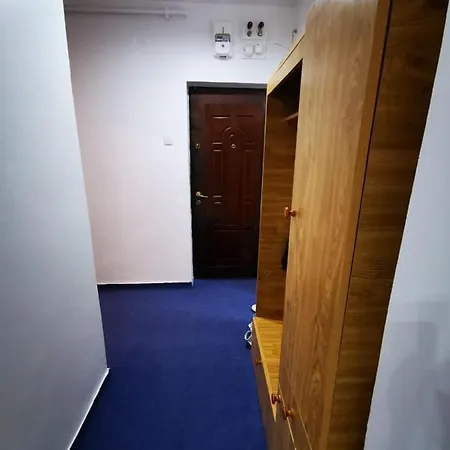 Apartament Vlad *
